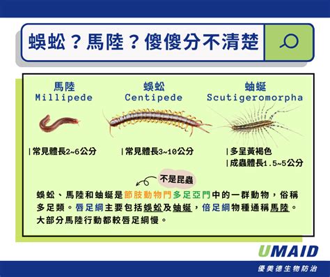 蜈蚣家裡